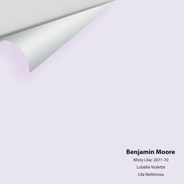 Big Paint Chip - Misty Lilac 2071-70 Benjamin Moore®