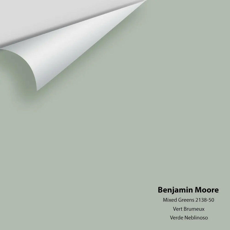 Benjamin Moore - Misted Green 2138-50 Colour sample