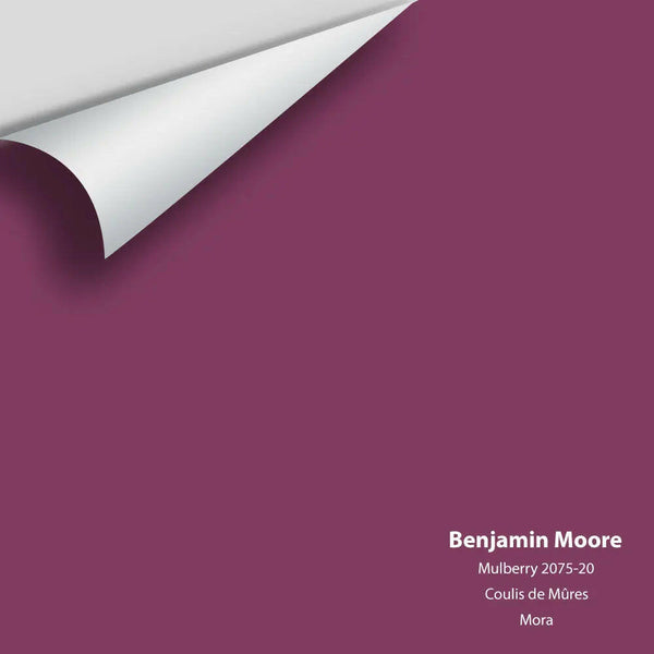 Big Paint Chip - Mulberry 2075-20 Benjamin Moore®