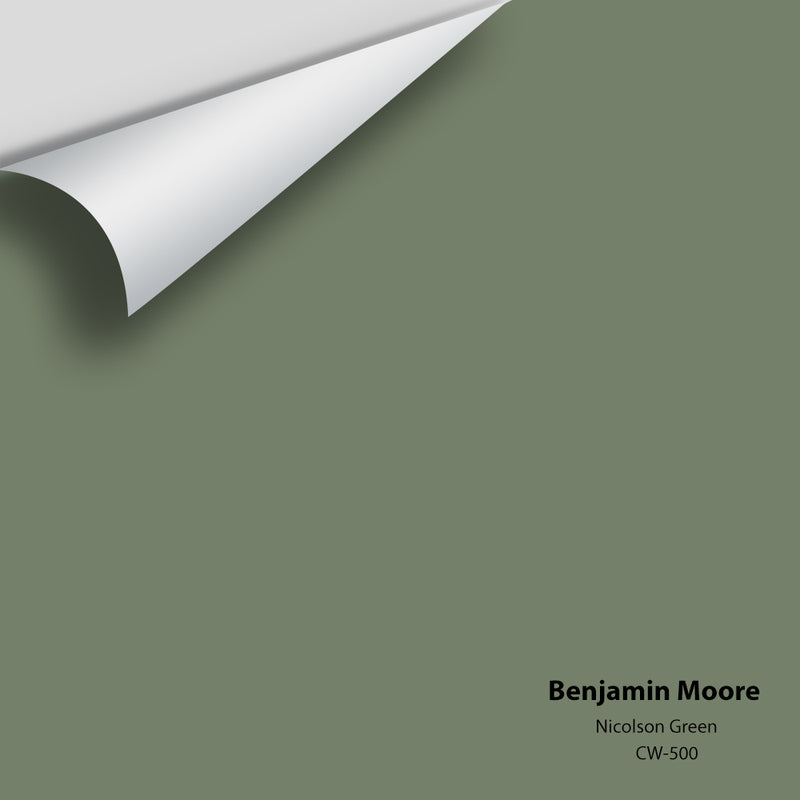 Benjamin Moore - Nicolson Green CW-500 Colour Sample
