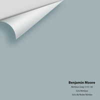 Benjamin Moore - Nimbus Gray 2131-50 Colour Sample