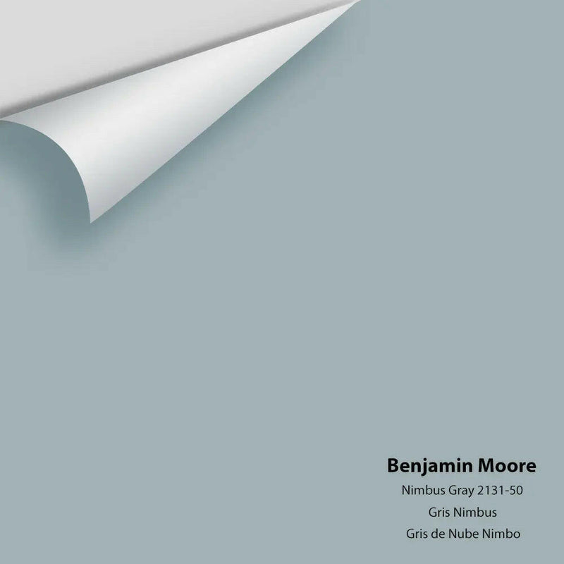 Benjamin Moore - Nimbus Gray 2131-50 Colour Sample