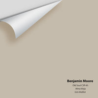 Benjamin Moore - Old Soul CSP-65 Colour Sample