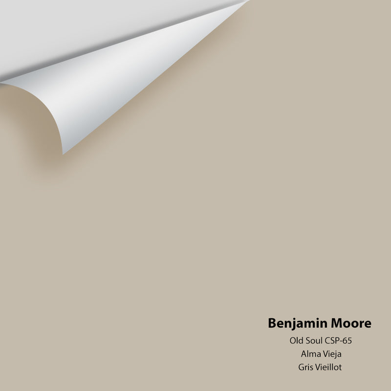 Benjamin Moore - Old Soul CSP-65 Colour Sample