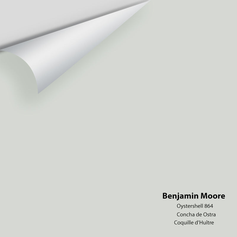 Benjamin Moore - Oystershell 864 Colour Sample