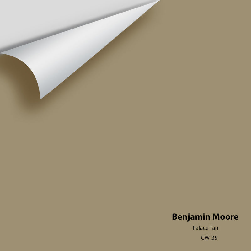 Benjamin Moore - Palace Tan CW-35 Colour Sample