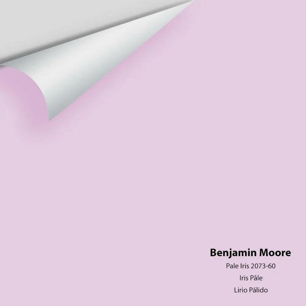 Big Paint Chip - Pale Iris 2073-60 Benjamin Moore®