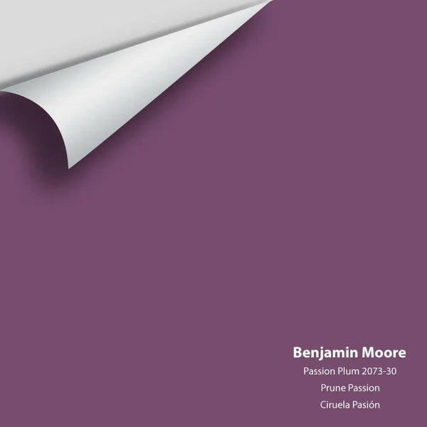 Big Paint Chip - Passion Plum 2073-30 Benjamin Moore®