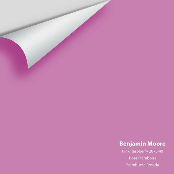 Big Paint Chip - Pink Raspberry 2075-40 Benjamin Moore®