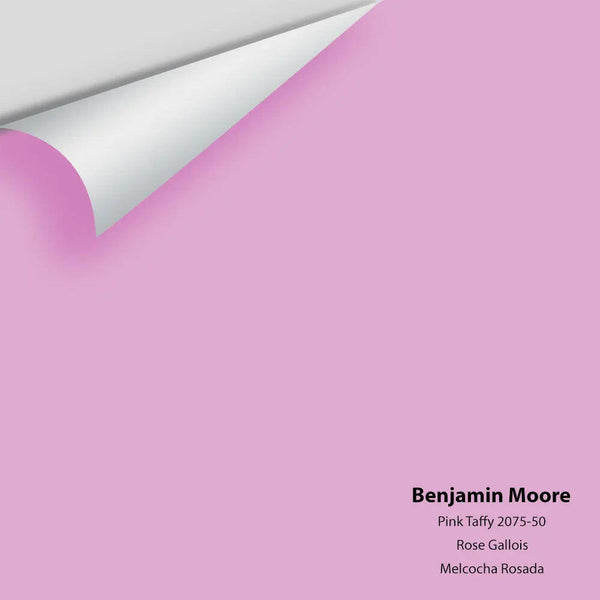 Big Paint Chip - Pink Taffy 2075-50 Benjamin Moore®