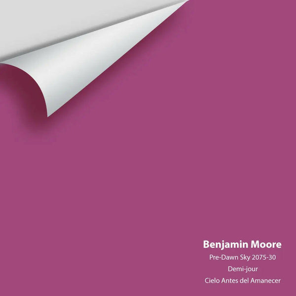 Big Paint Chip - Pre-Dawn Sky 2075-30 Benjamin Moore®