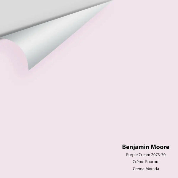 Big Paint Chip - Purple Cream 2073-70 Benjamin Moore®