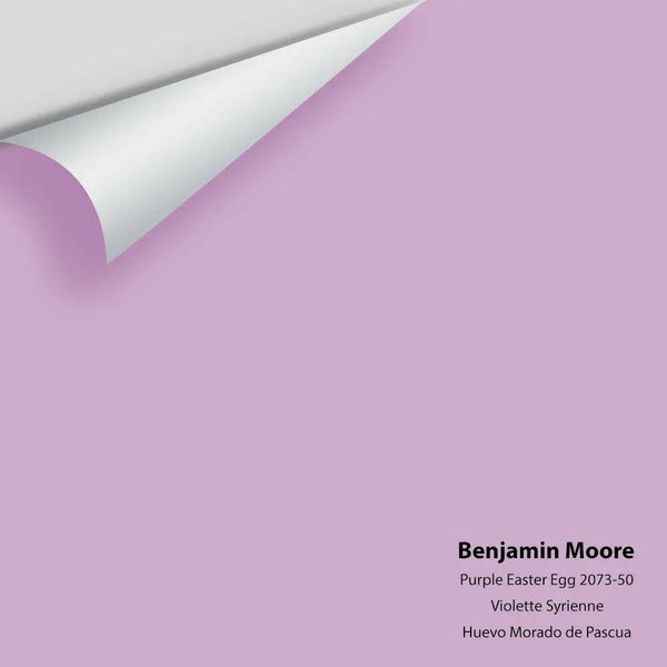 Big Paint Chip - Purple Easter Egg 2073-50 Benjamin Moore®