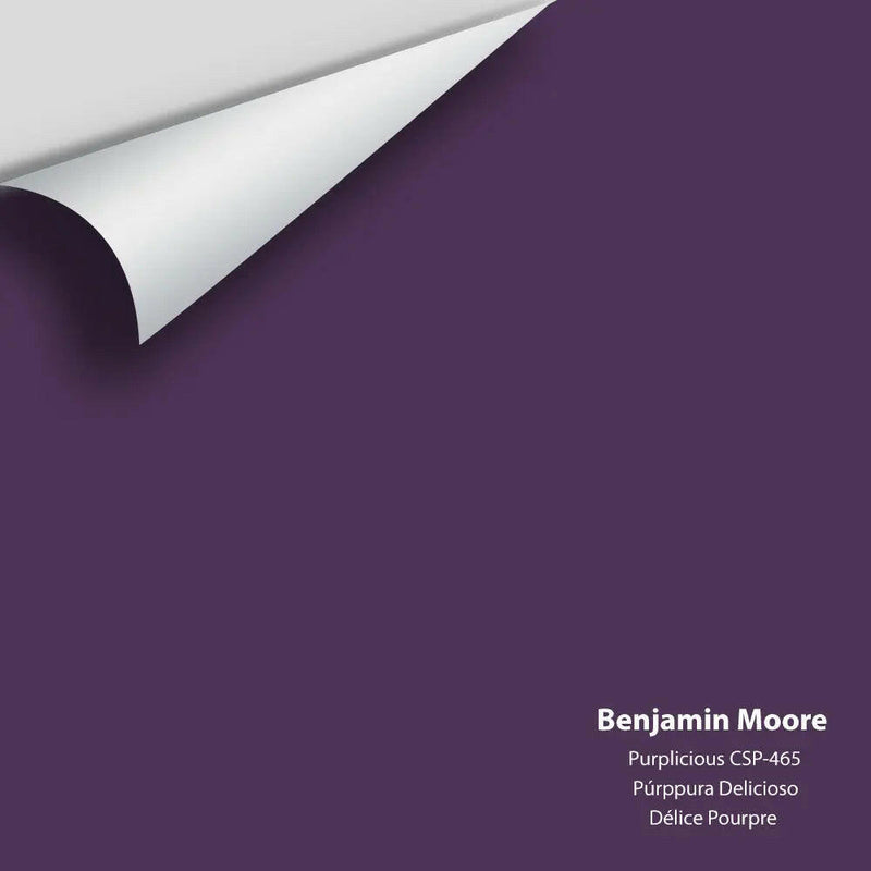 Big Paint Chip - Purplicious CSP-465 Benjamin Moore®