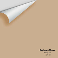 Benjamin Moore - Raleigh Tan CW-190 Colour Sample