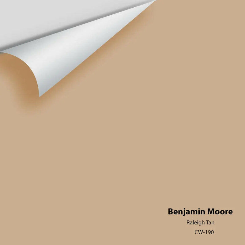 Benjamin Moore - Raleigh Tan CW-190 Colour Sample