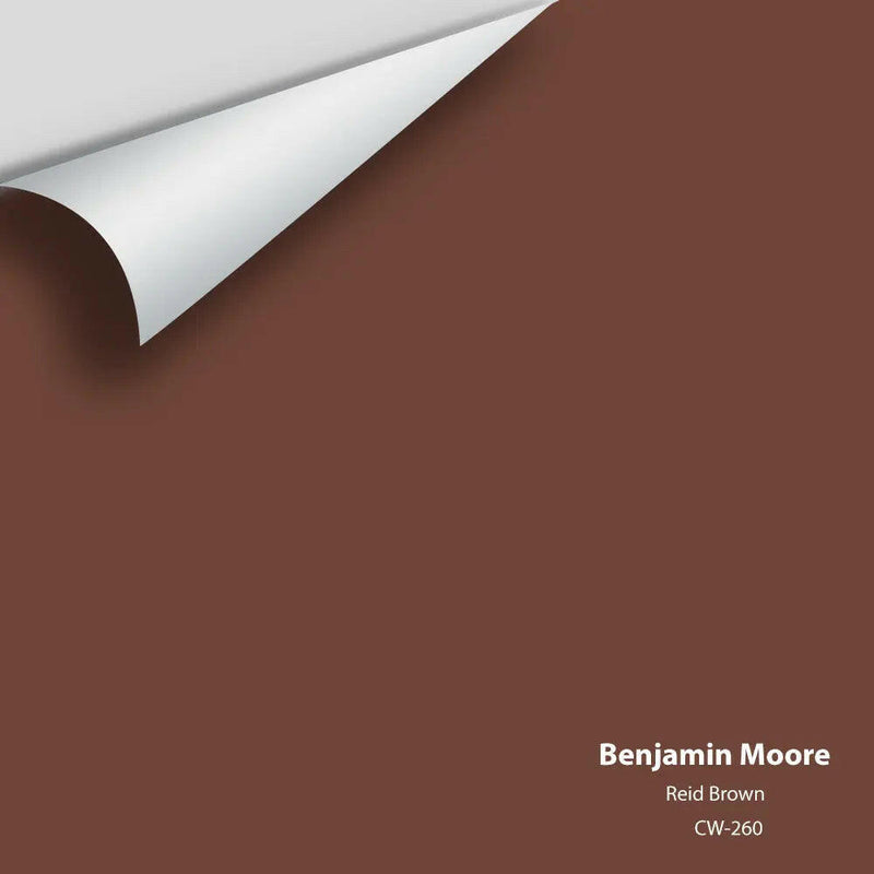 Benjamin Moore - Reid Brown CW-255 Colour Sample