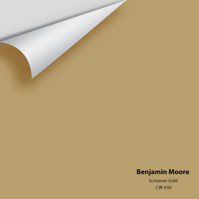 Benjamin Moore - Scrivener Gold CW-430 Colour Sample