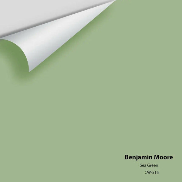 Benjamin Moore - Sea Green CW-515 Colour Sample