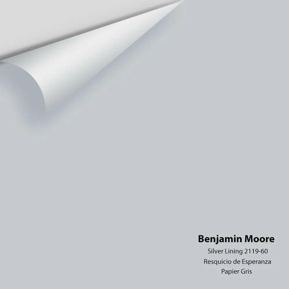 Benjamin Moore Dior Gray 2133 40 Colour Sample Colour Squared Inc