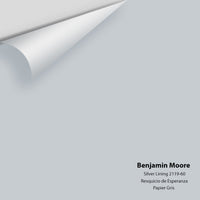 Benjamin Moore - Silver Lining 2119-60 Colour Sample
