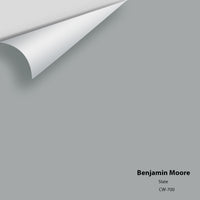 Benjamin Moore - Slate CW-700 Colour Sample