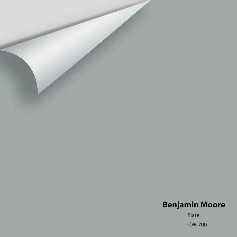 Benjamin Moore - Échantillon de couleur Abalone 2108-60