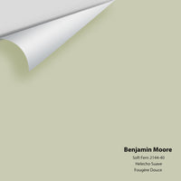Benjamin Moore - Soft Fern 2144-40 Colour Sample