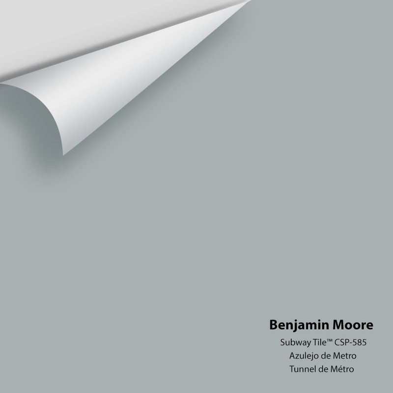 Benjamin Moore - Subway Tile™ CSP-585 Colour Sample