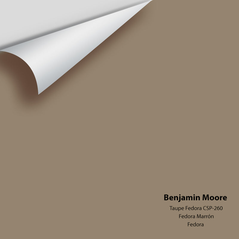 Benjamin Moore - Taupe Fedora CSP-260 Color Sample