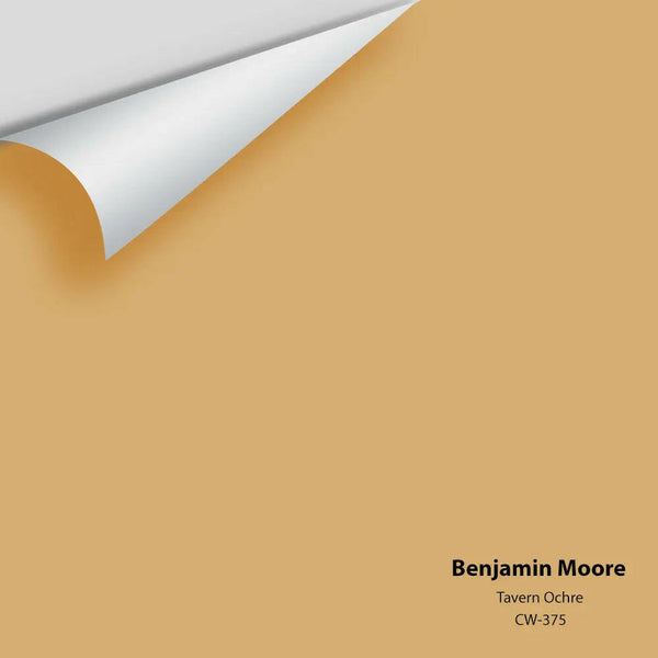 Benjamin Moore - Tavern Ochre CW-375 Colour Sample