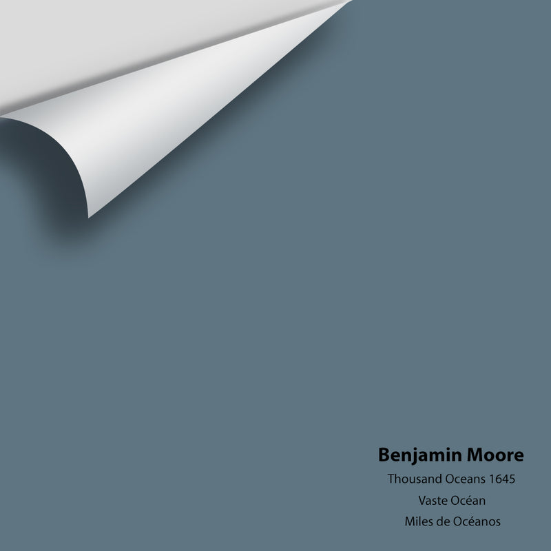 Benjamin Moore - Thousand Oceans 1645 Colour Sample
