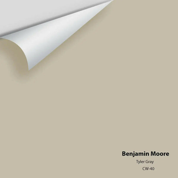 Benjamin Moore - Tyler Gray CW-50 Colour Sample