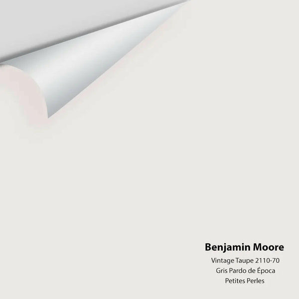 Benjamin Moore - Vintage Taupe 2110-70 Colour Sample