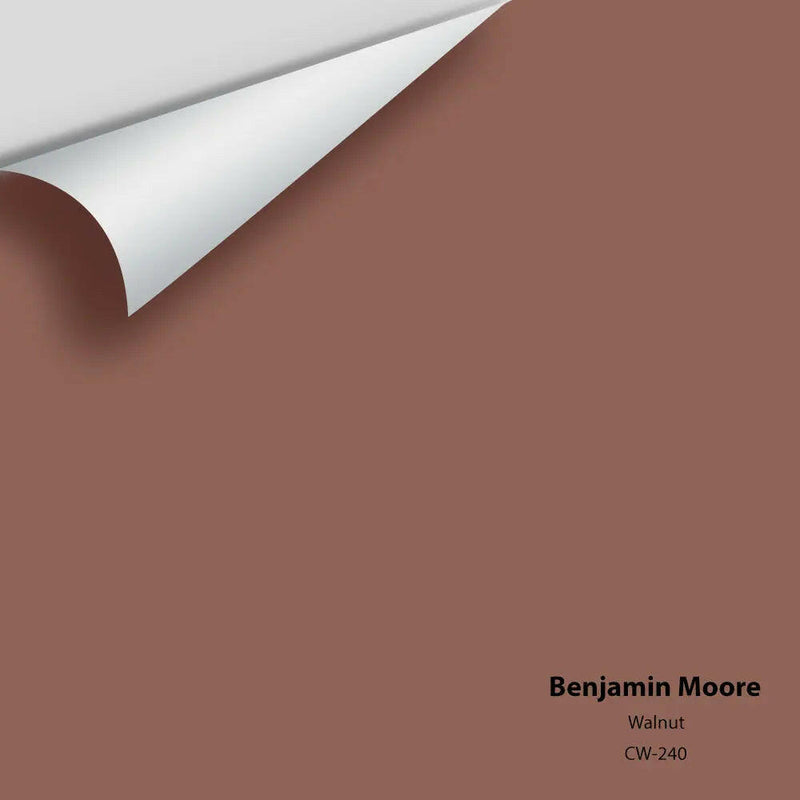 Benjamin Moore - Walnut CW-240 Colour Sample