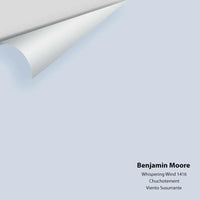 Big Paint Chip - Whispering Wind 1416 Benjamin Moore®