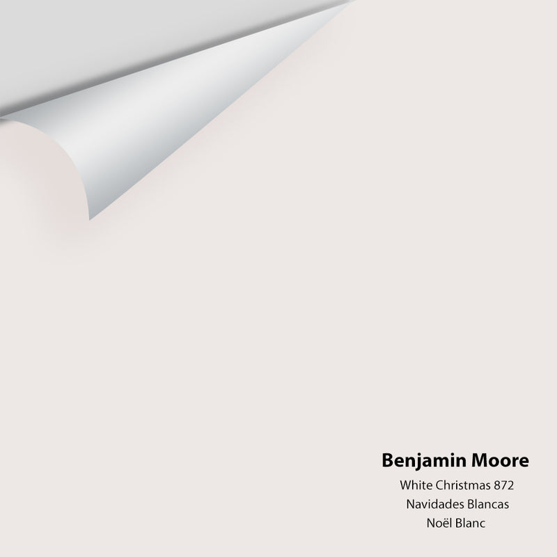Benjamin Moore - White Christmas 872 Colour Sample