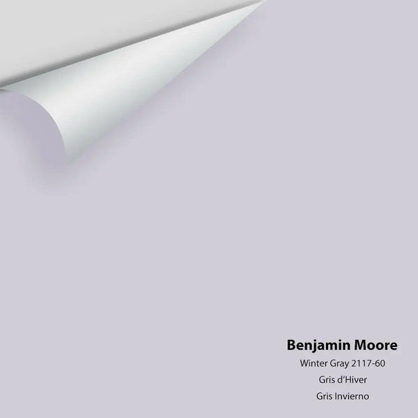 Benjamin Moore - Winter Gray 2117-60 Colour Sample Benjamin Moore®