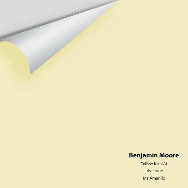 Benjamin Moore - Yellow Iris 373 Colour Sample