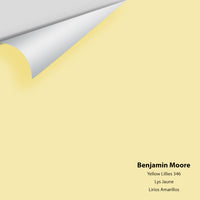 Benjamin Moore - Yellow Lilies 346 Colour Sample
