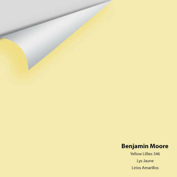 Benjamin Moore - Yellow Lilies 346 Colour Sample