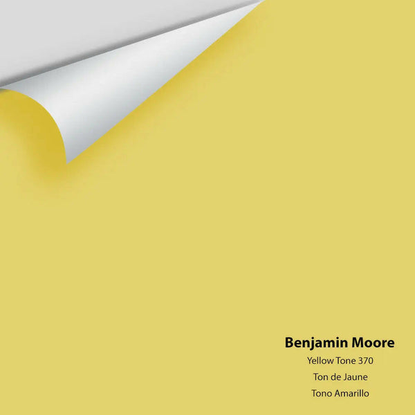 Big Paint Chip - Yellow Tone 370