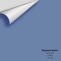 Benjamin Moore - Yin Yang 824 Colour Sample