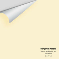 Benjamin Moore - You Are My Sunshine 302 Colour Sample