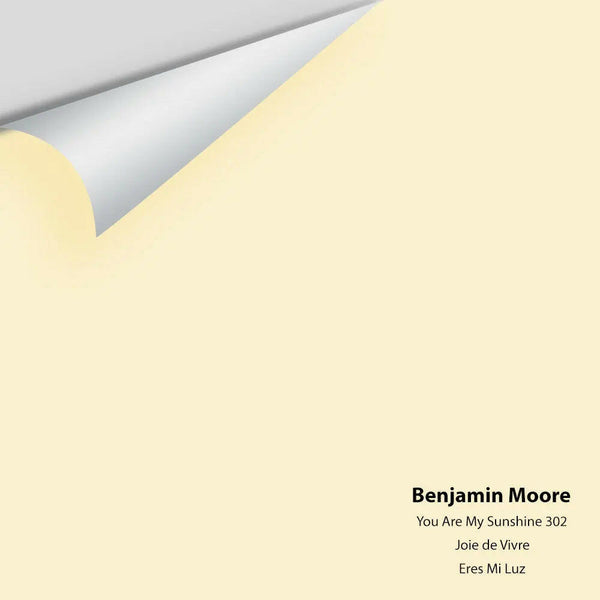 Benjamin Moore - You Are My Sunshine 302 Colour Sample