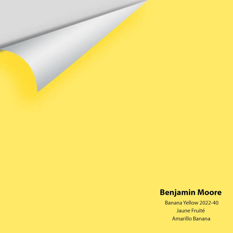 Benjamin Moore - Banana Yellow 2022-40 Colour Sample