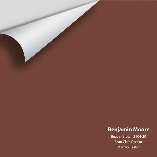 Big Paint Chip - Beaver Brown 2104-20 Colour Sample