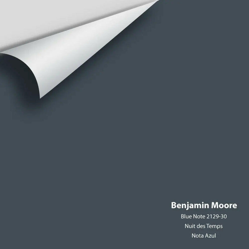 Benjamin Moore - Blue Note 2129-30 Colour Sample