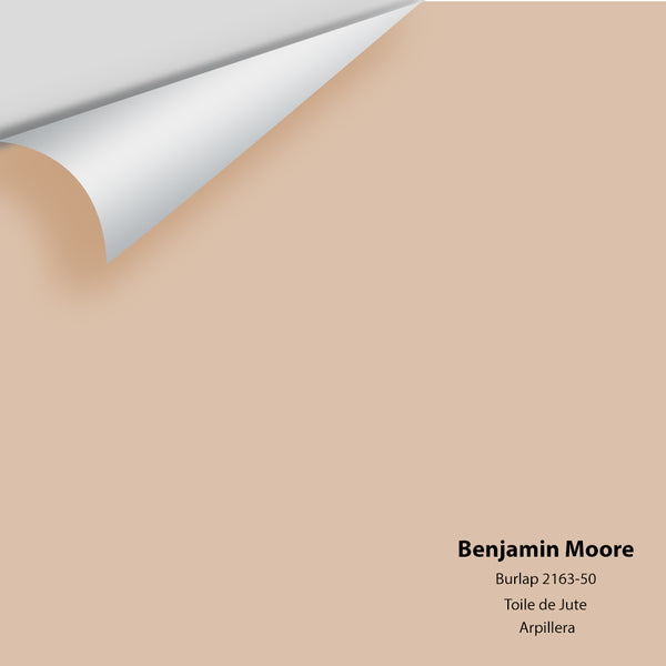 Benjamin Moore - Burlap 2163-50 Colour Sample