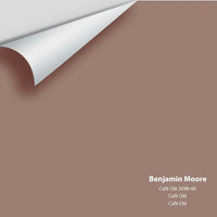 Big Paint Chip - Café Ole 2098-40 Colour Sample